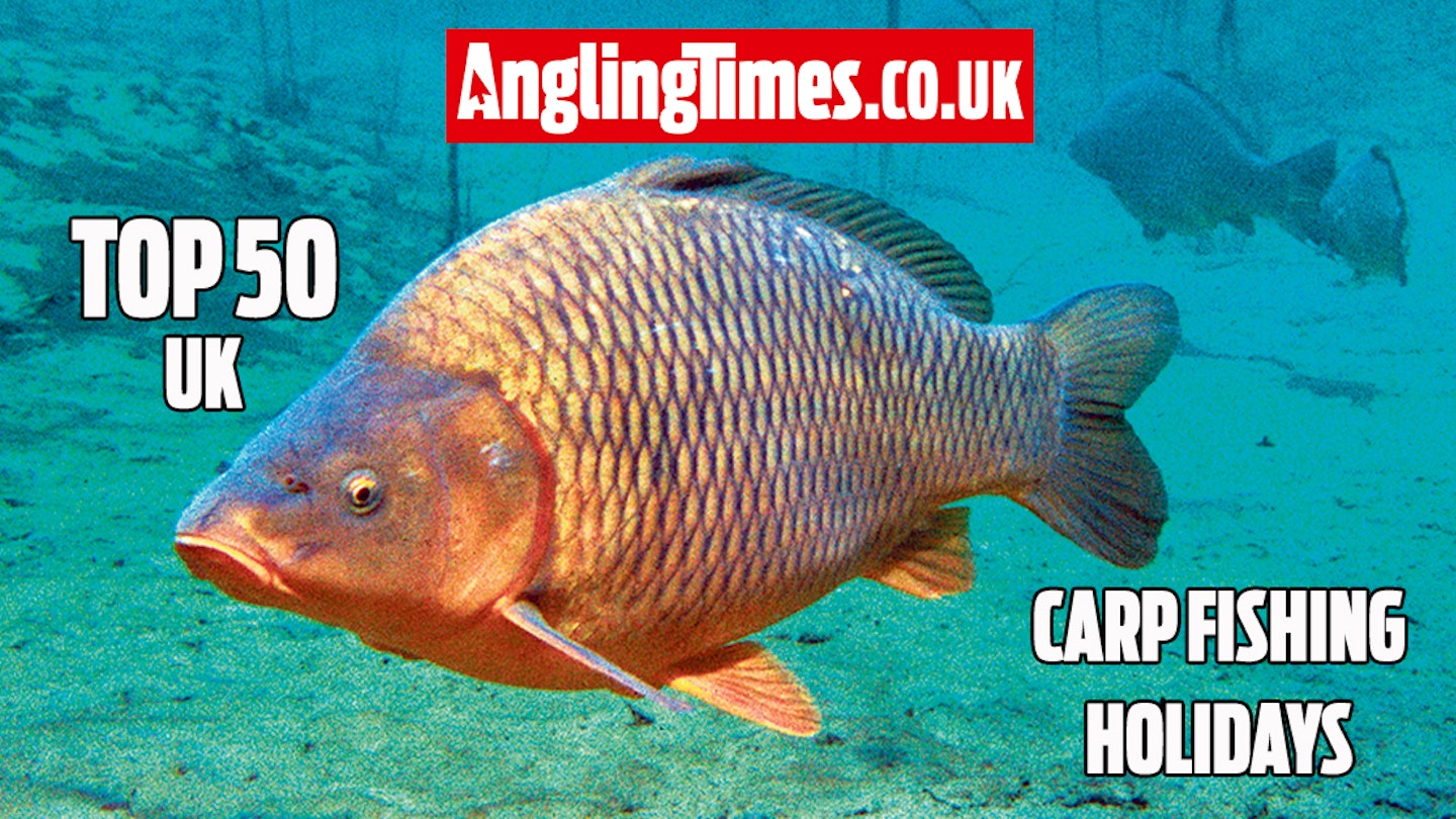 The 50 best UK carp fishing holiday lakes