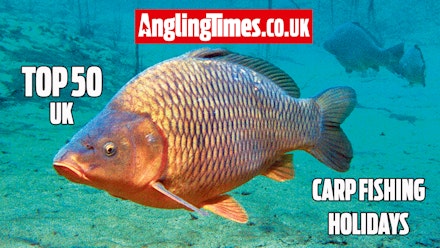 The 50 best UK carp fishing holiday lakes - Carp Fishing HoliDays Uk The 50 best UK carp fishing holiday lakes - Carp Fishing HoliDays Uk