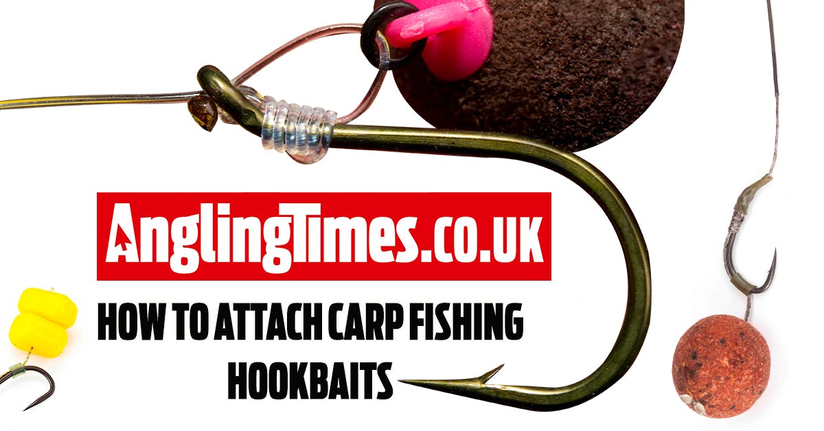 How to attach your hookbaits for carp fishing Angling Times