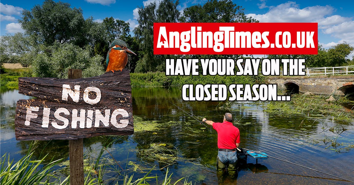 Do we need to change the closed season Have your say Angling