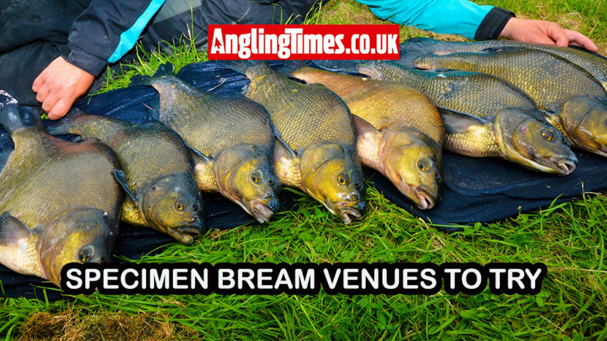 Fishing near me | Where to catch specimen bream