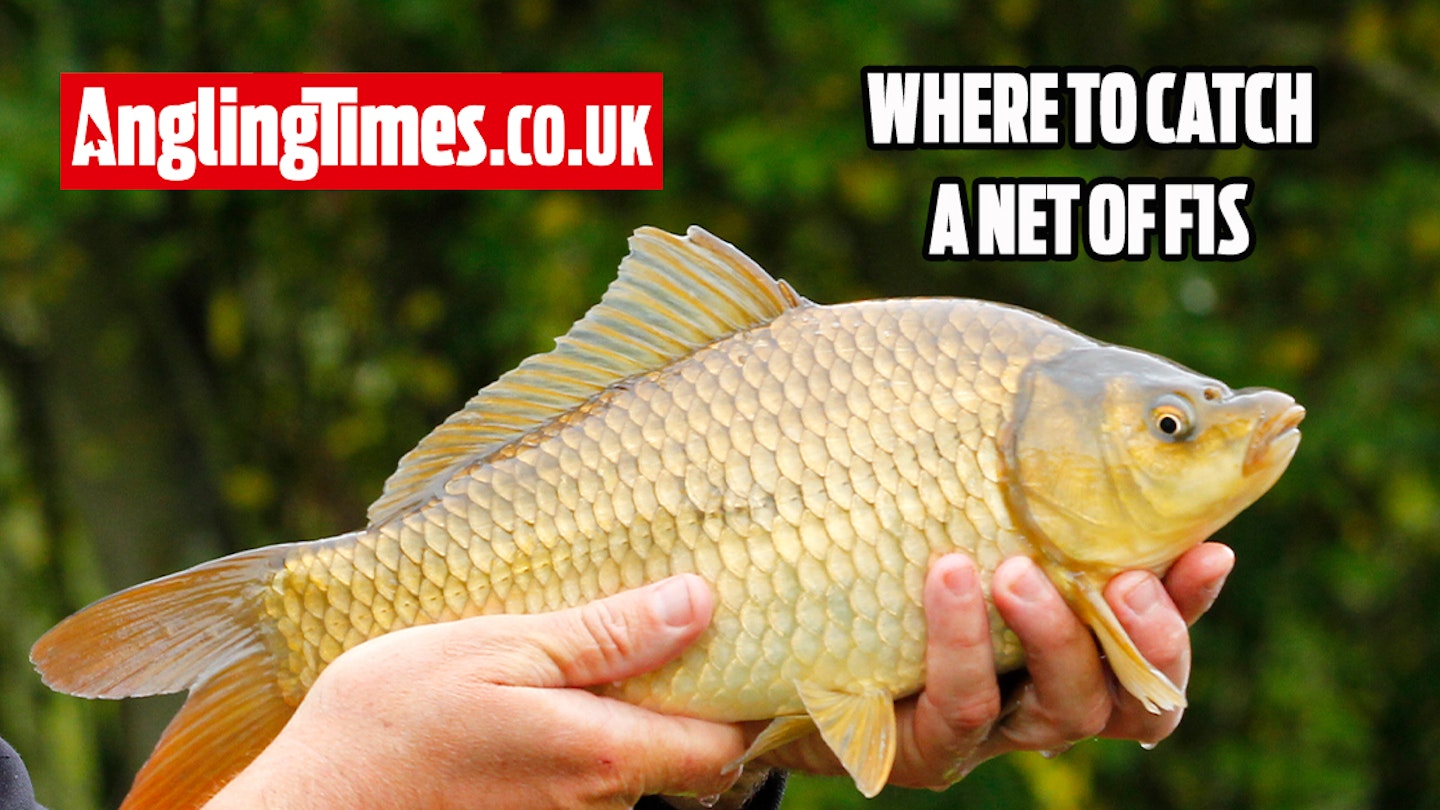 10 Awesome fishing lakes for a net of F1s