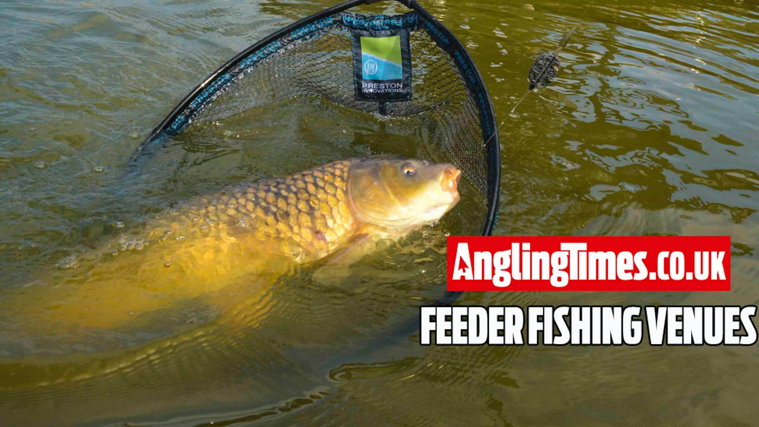Fishing near me : 10 Great Lakes for feeder fishing