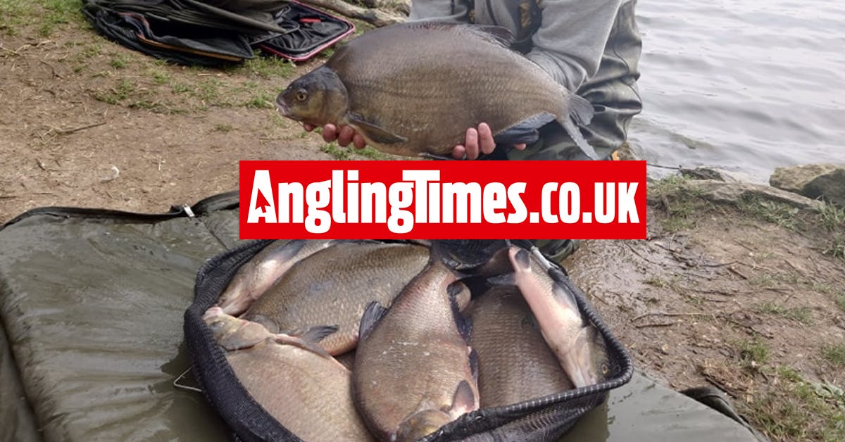 190lbplus catch of bream sets new record! Angling Times