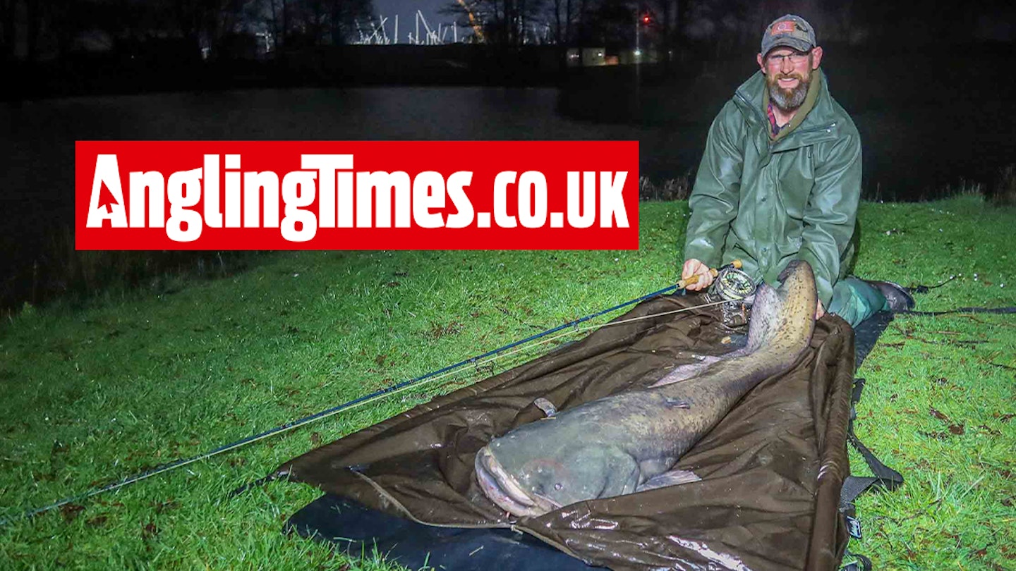 Monster catfish is the biggest-ever UK freshwater fish on the fly