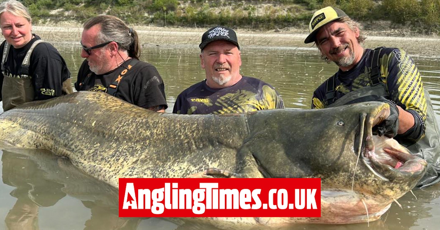 Massive catfish caught in Italy could set world record