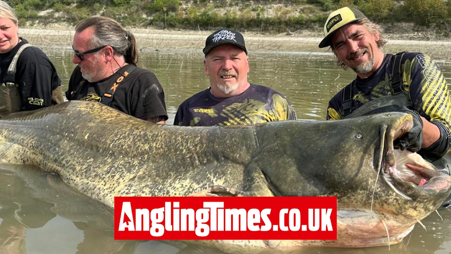 World record catfish beaten by 1cm!