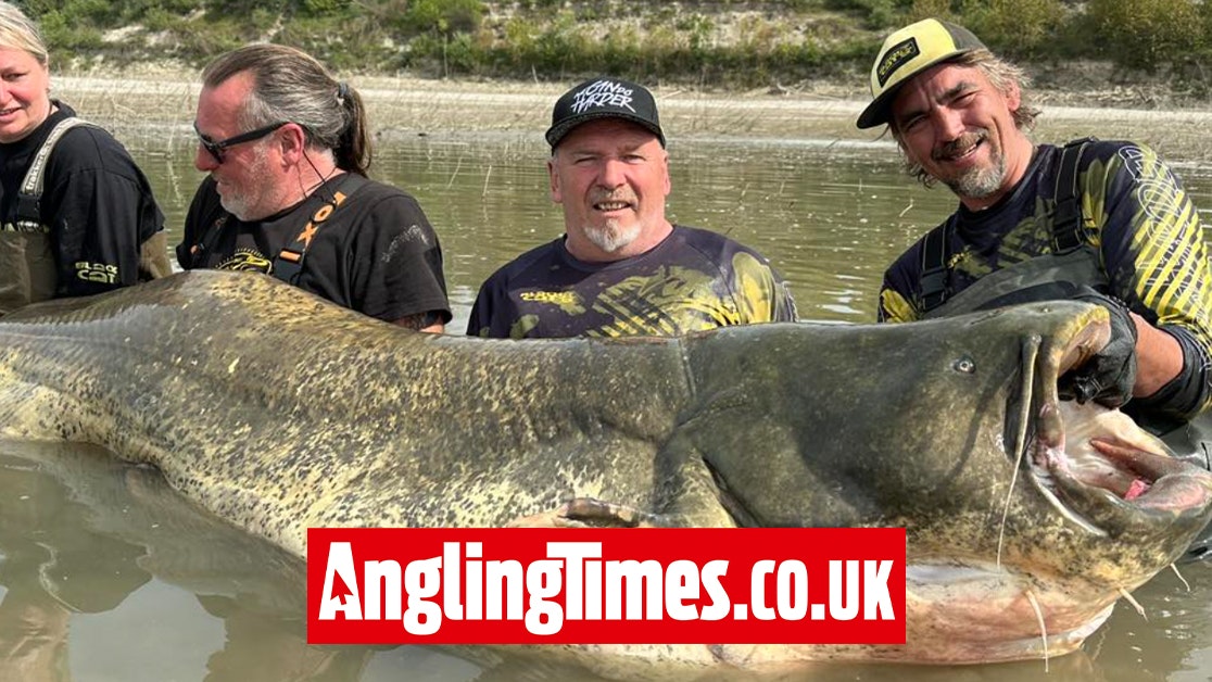World record catfish beaten by 1cm!