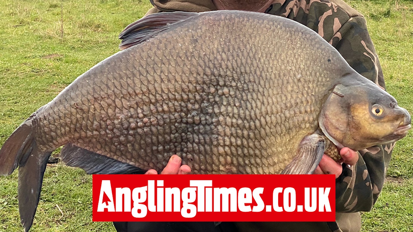Bream Fish