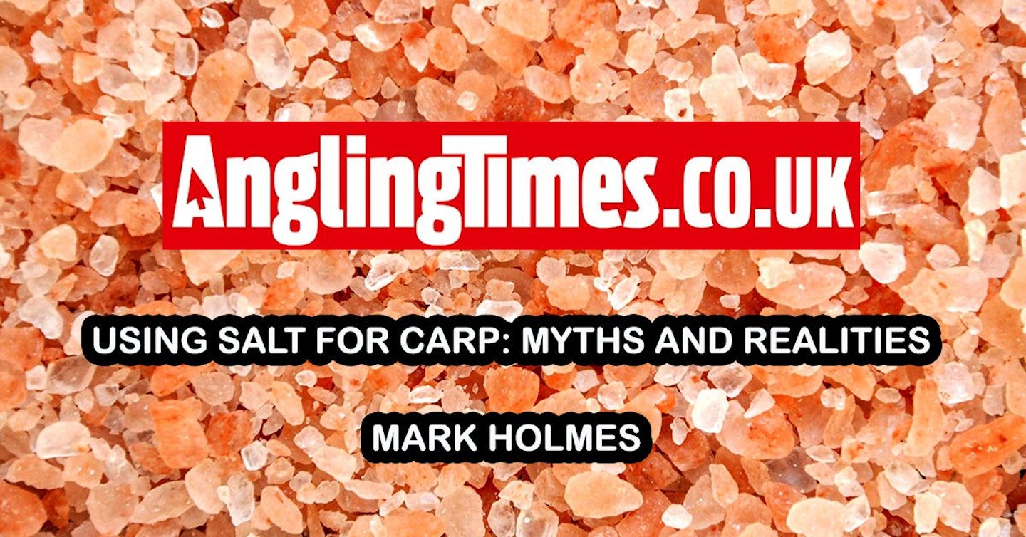 Using salt for carp: myths and realities | Mark Holmes