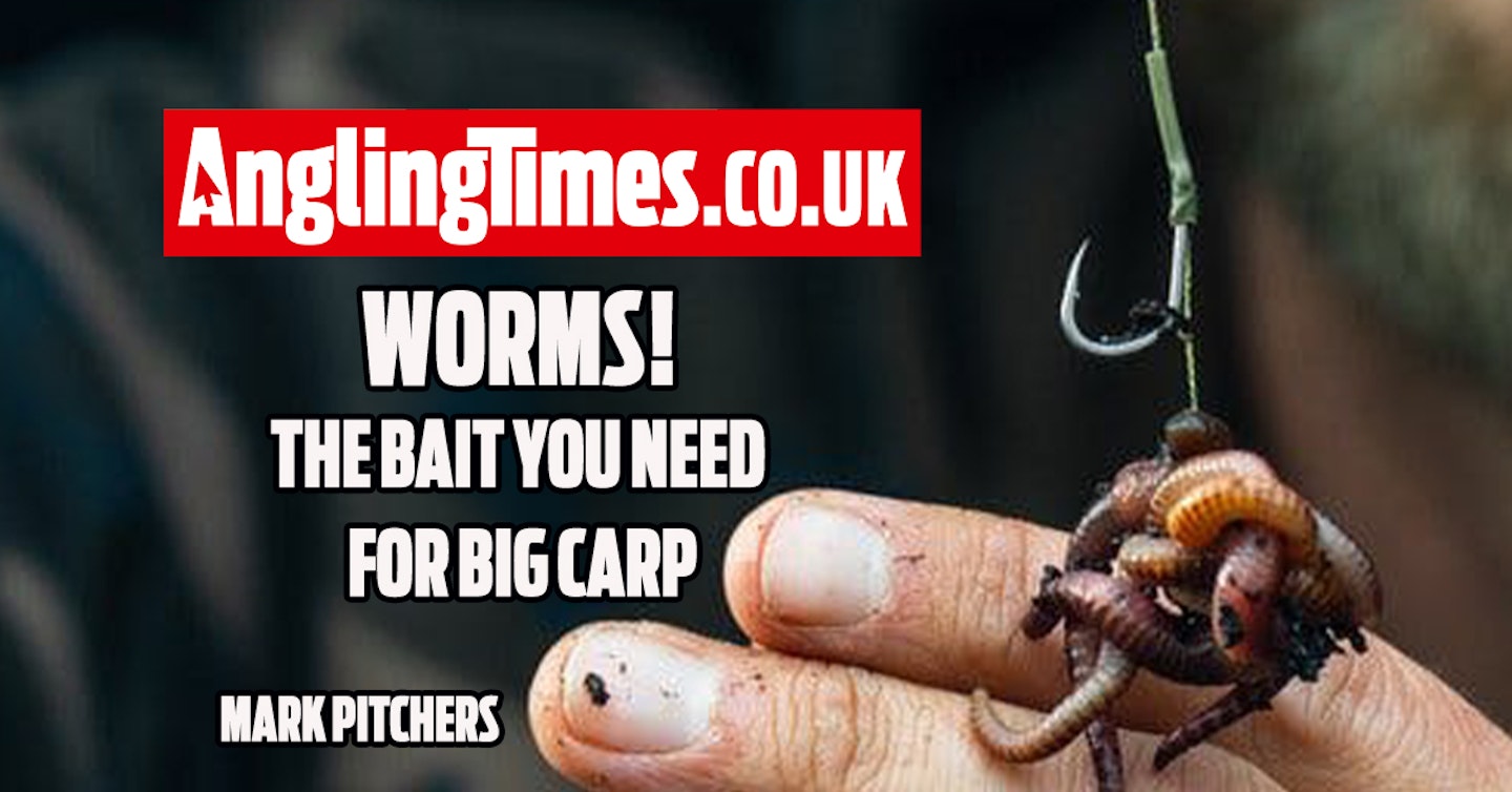 How to fish worms for big carp - Mark Pitchers