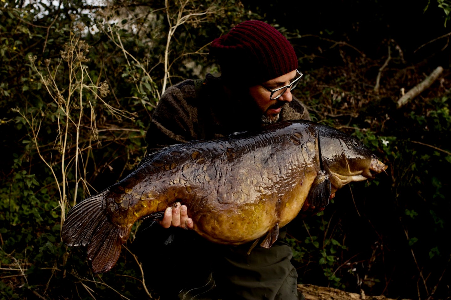 When is the best time to fish for carp?