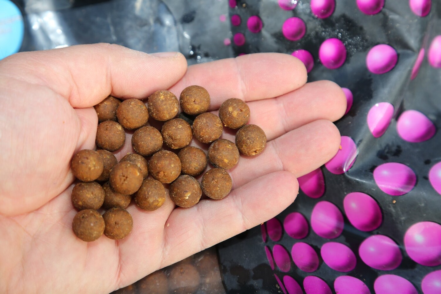 Boilies are an excellent bait for roach
