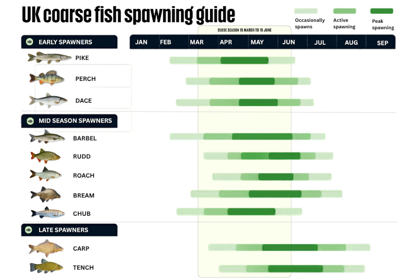 Fish Spawning Signs Every Angler Should Know