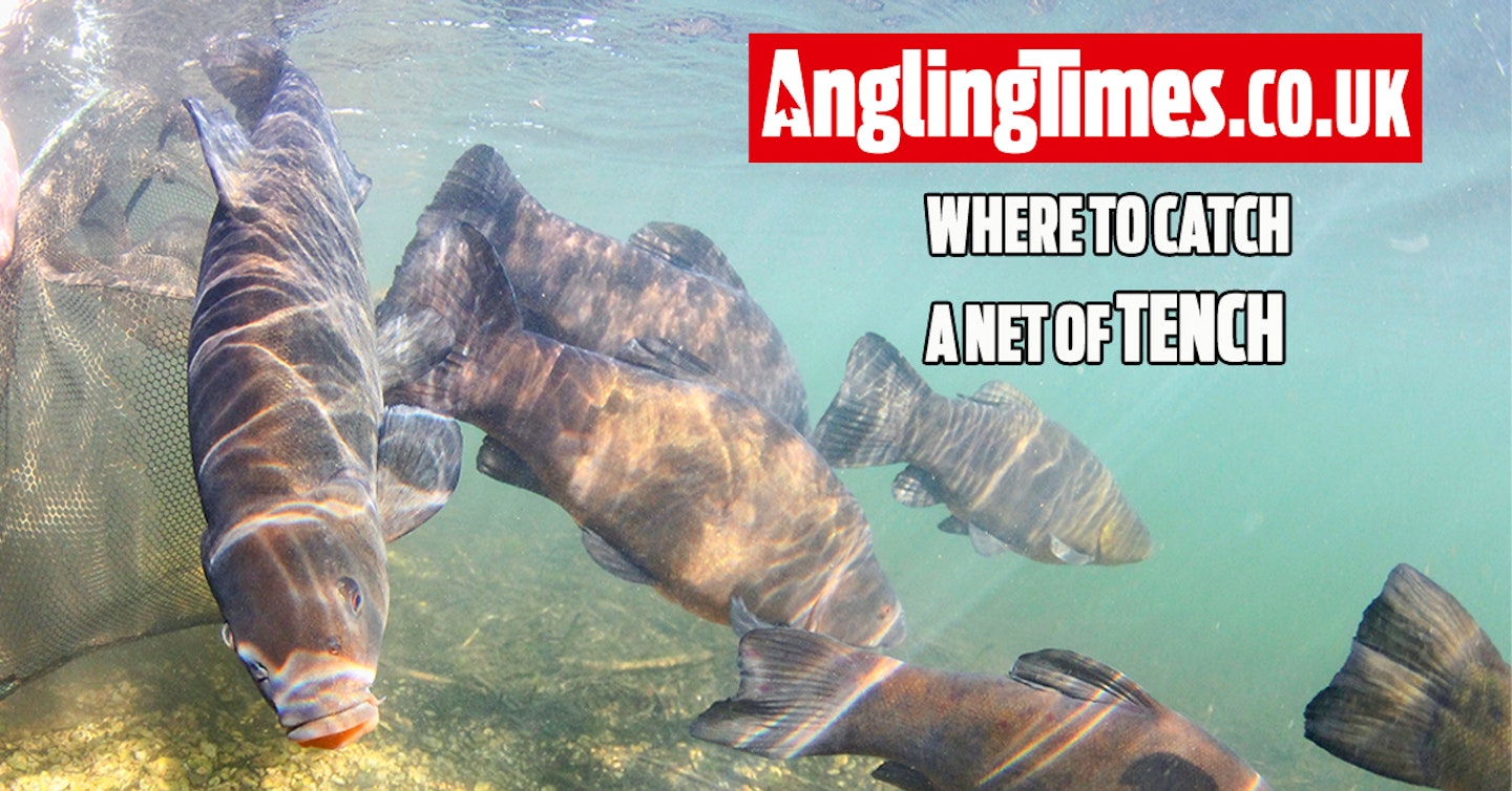 Fishing near me: Where to catch a net of tench