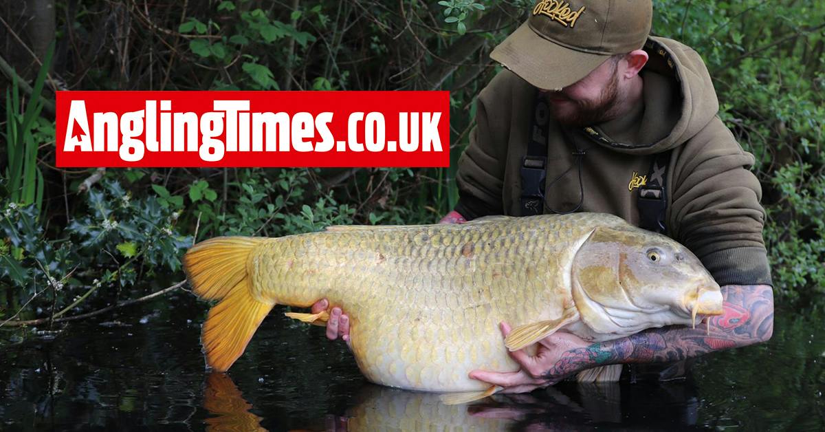 Mega Yateley carp haul on zig rigs | Angling Times