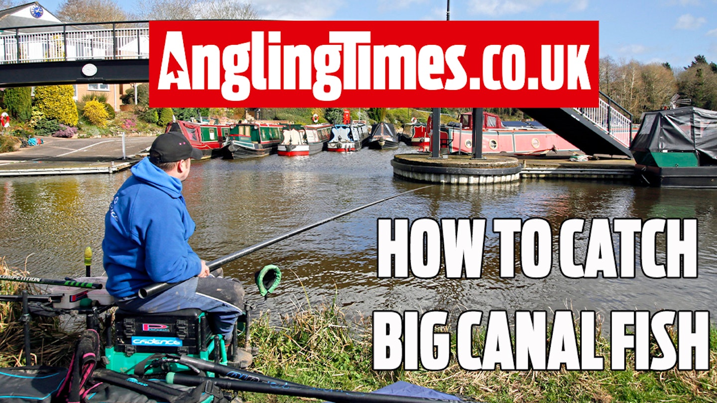 Tips to catch bigger canal fish - Jason Cunningham