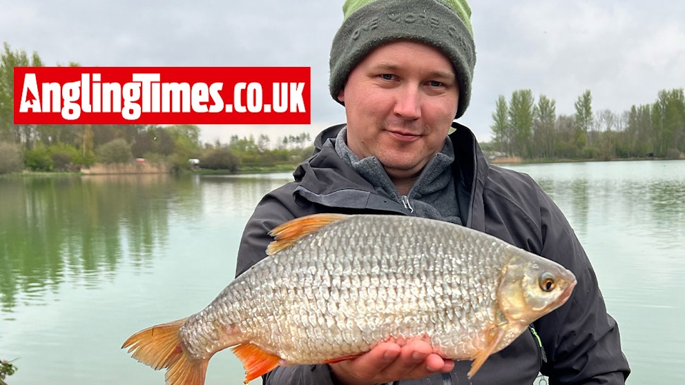 Giant roach landed in carp fishing match | Angling Times