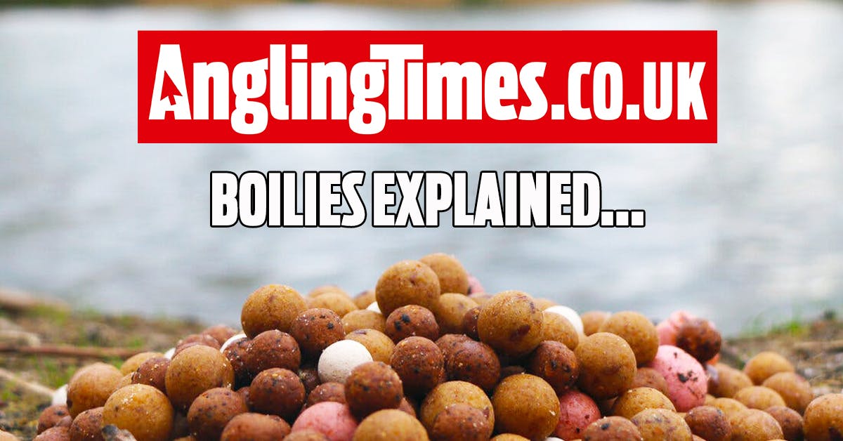 Fishing boilies deals