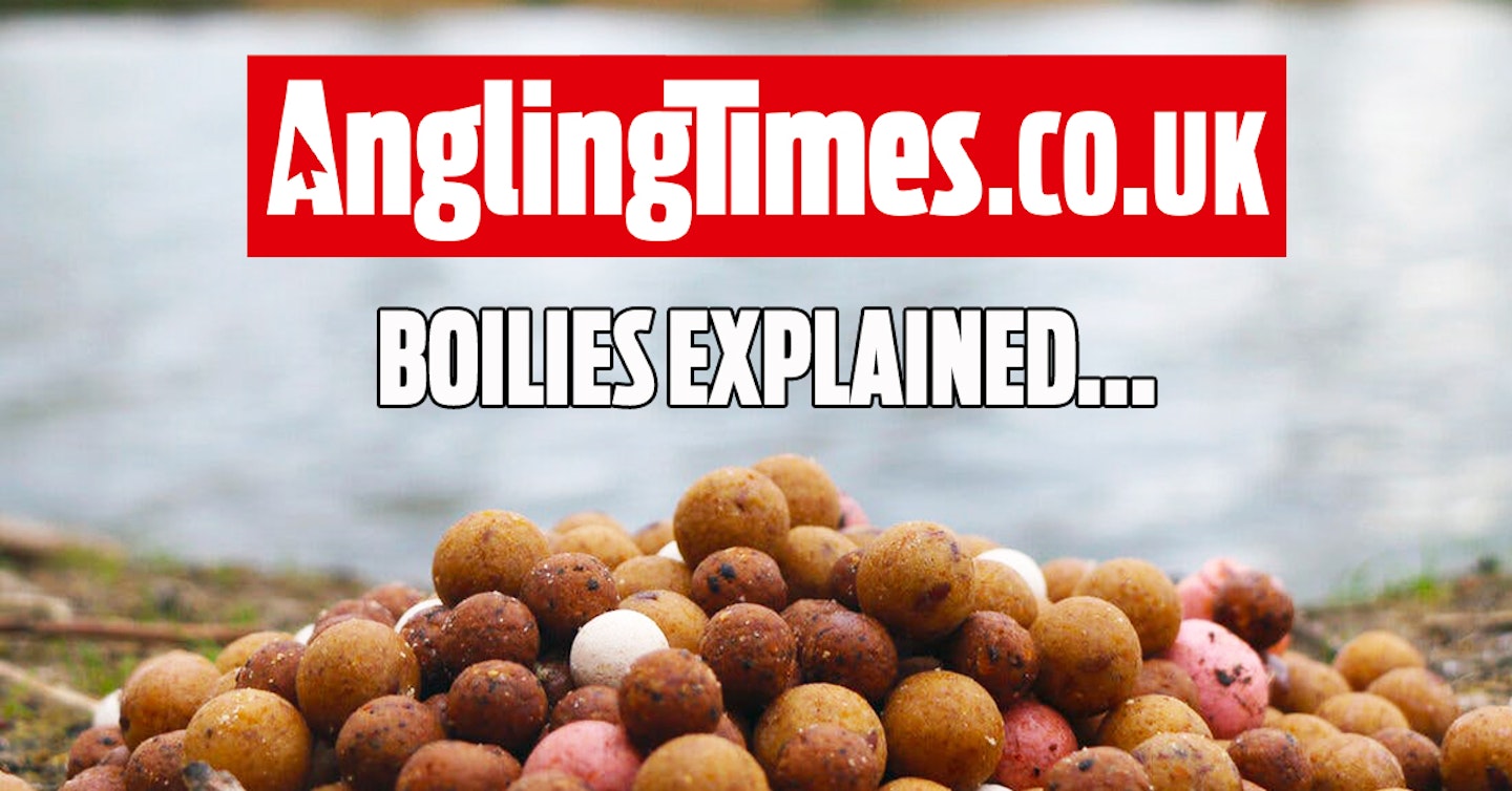 How to pick the right boilie for carp fishing