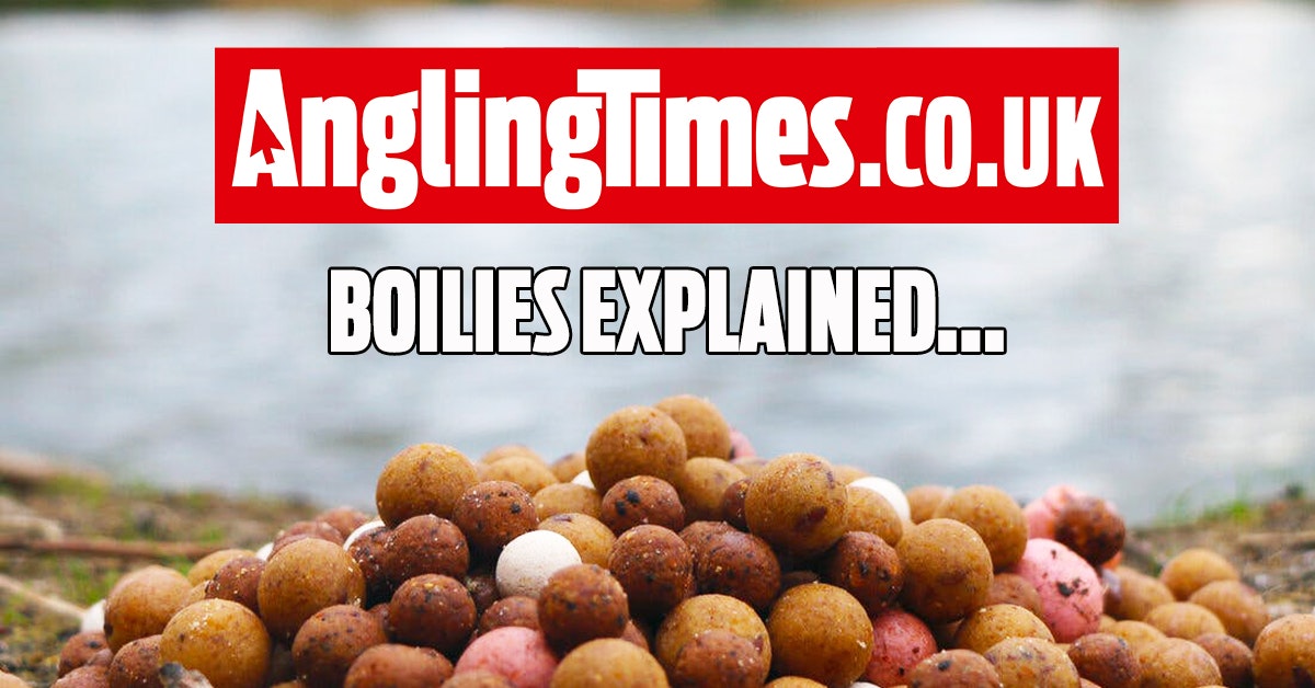 How To Use Boilies To Catch Carp