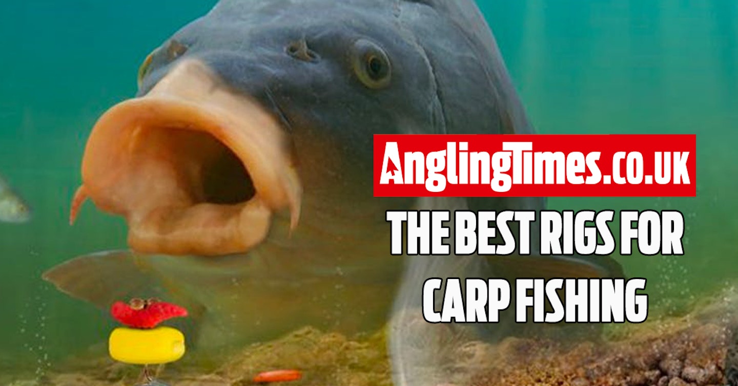 The only carp rigs you'll ever need!