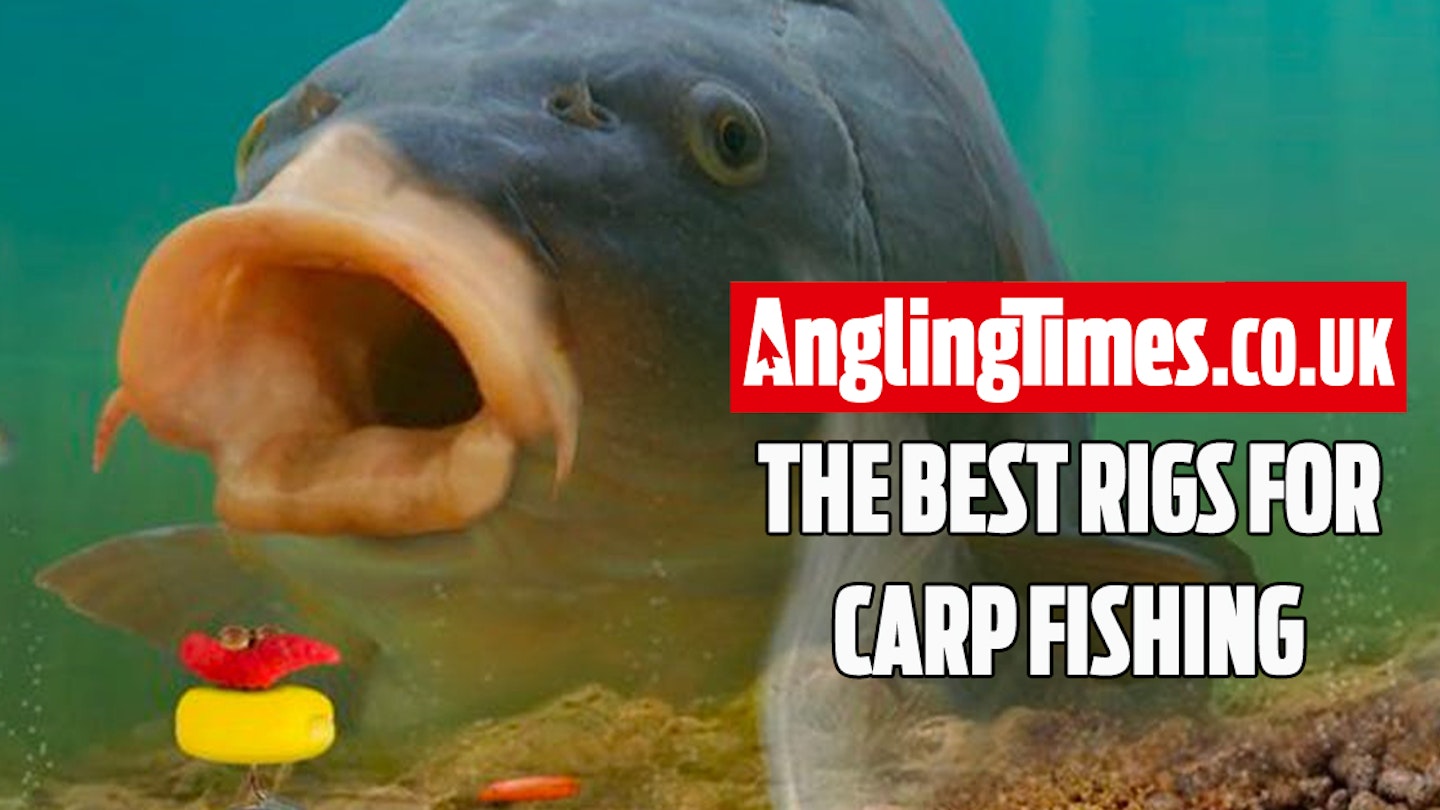 The only carp rigs you’ll ever need!