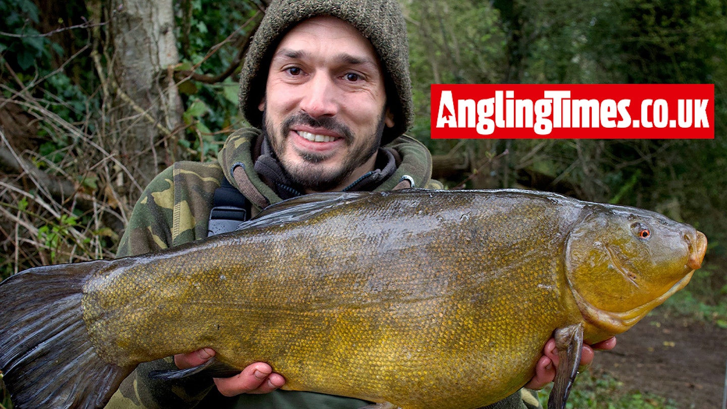 Huge Specimen Tench Is Dan s Latest Prize Angling Times huge-specimen-tench-is-dan-s-latest-prize-angling-times