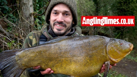 Tench Rake Huge specimen tench is Dan’s latest prize | Angling Times