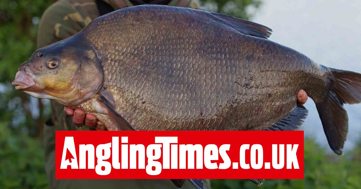Giant bream continues Dan’s superb early spring run of specimen fish