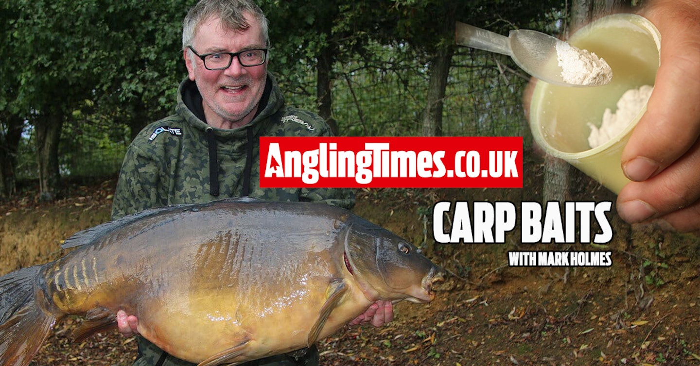 The attractors that carp simply can't resist – Mark Holmes