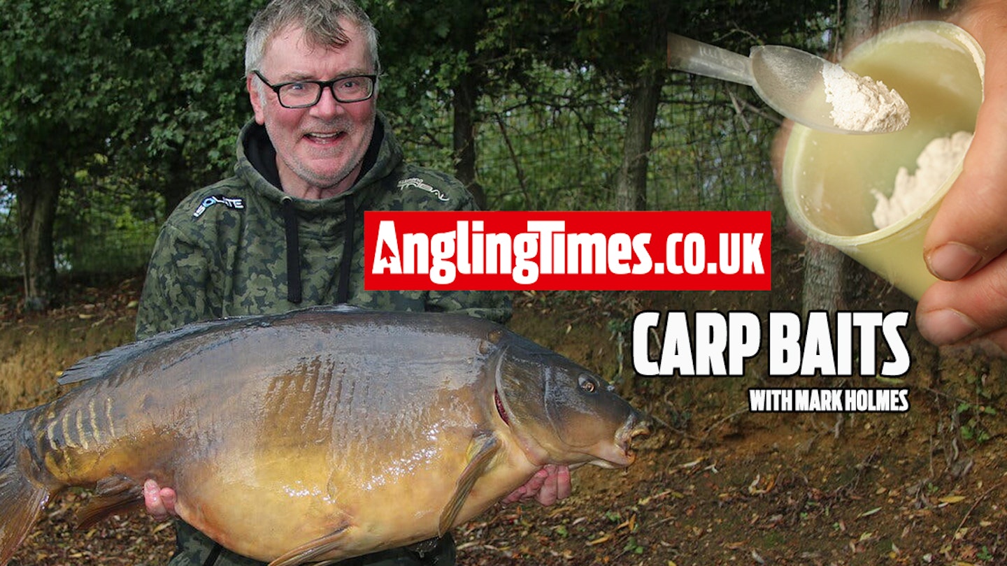 The attractors that carp simply can’t resist – Mark Holmes