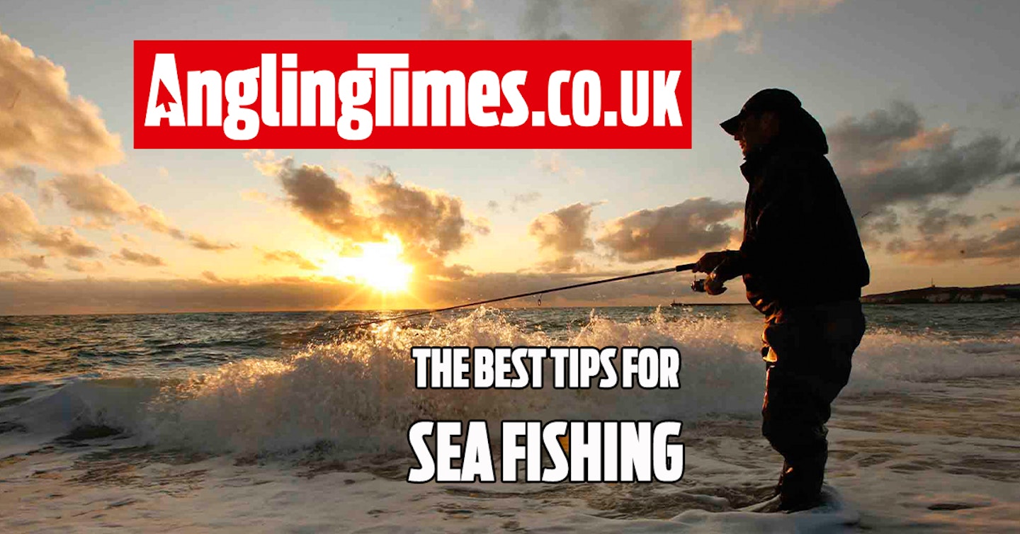 25 Awesome sea fishing tips