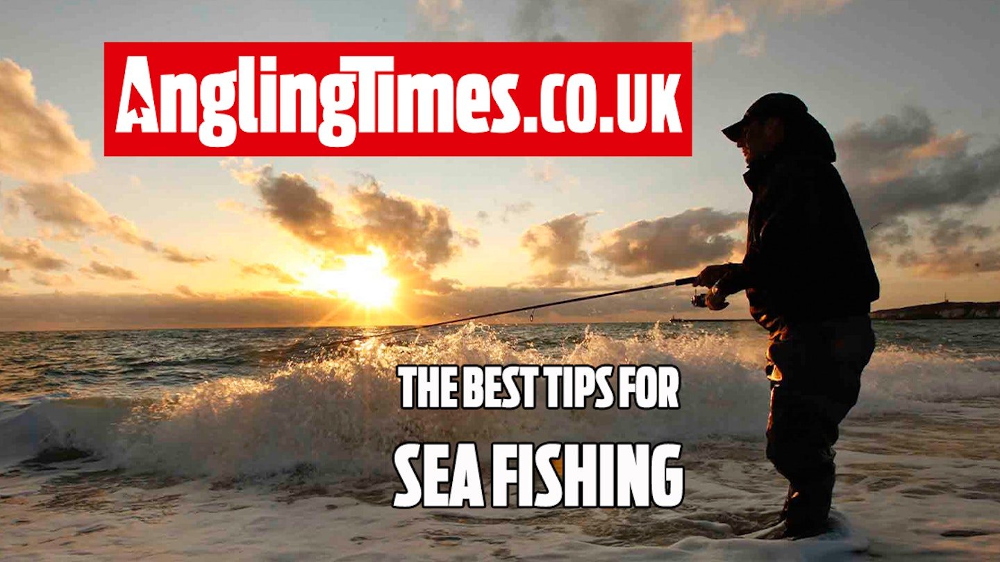 25 Awesome sea fishing tips