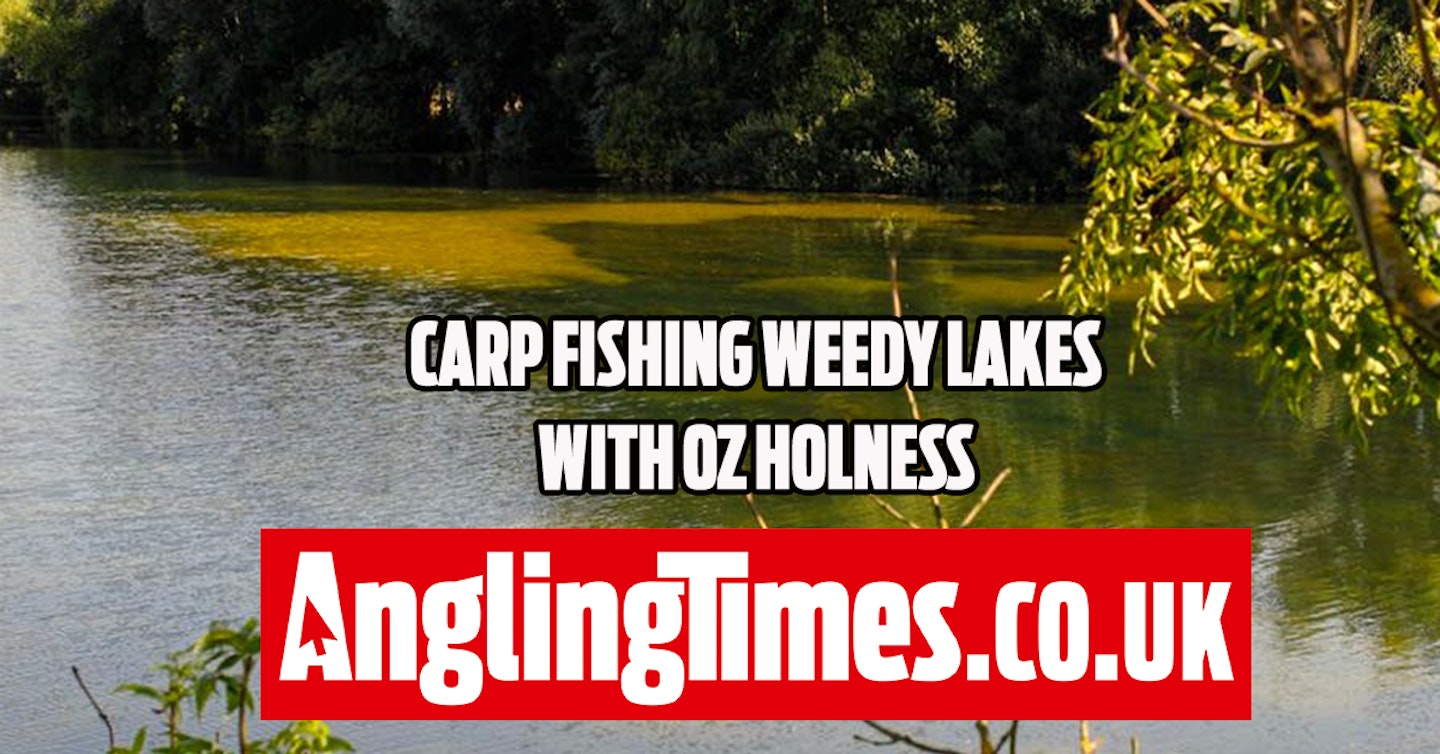 Where to fish on lakes covered in low-lying weed - Oz Holness