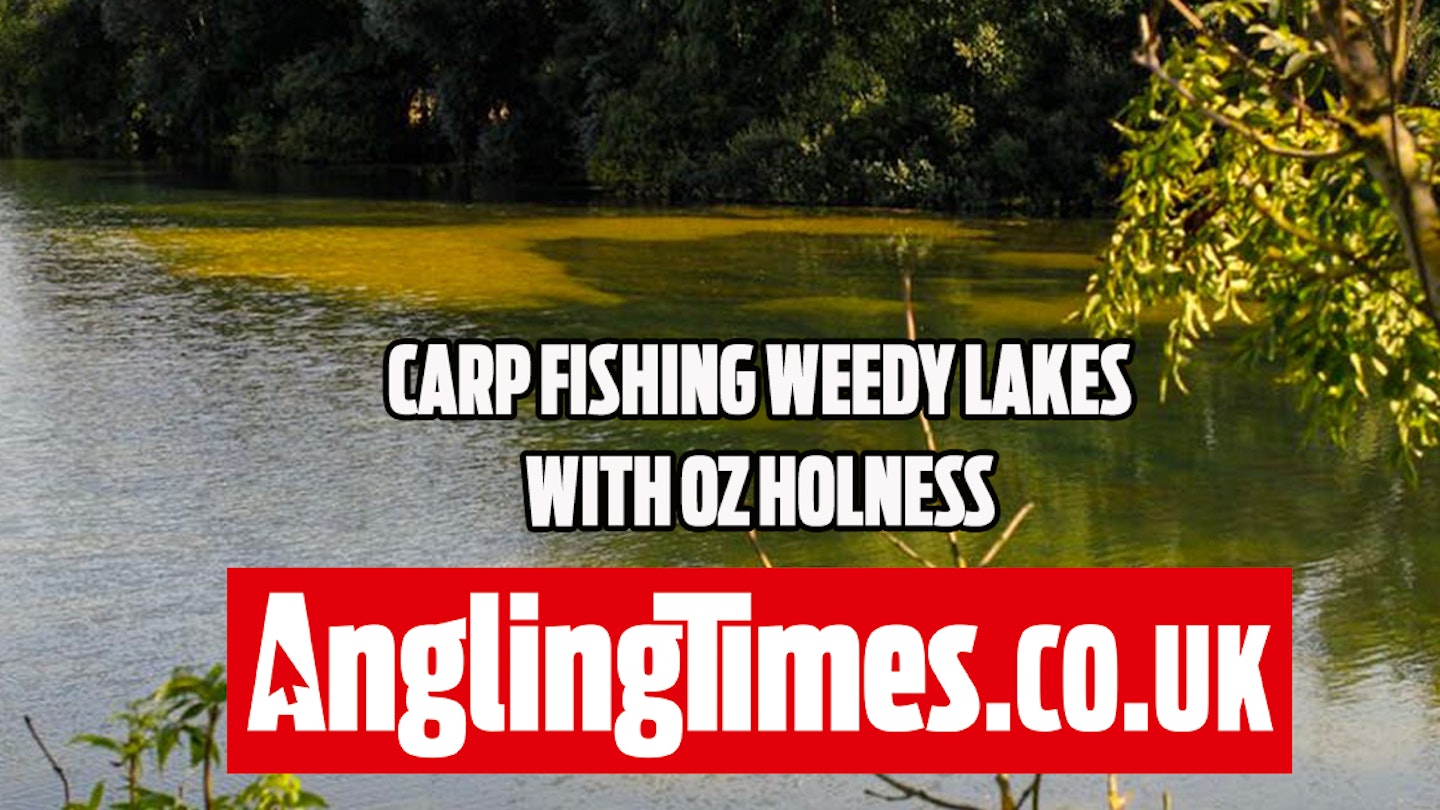 Where to fish on lakes covered in low-lying weed – Oz Holness