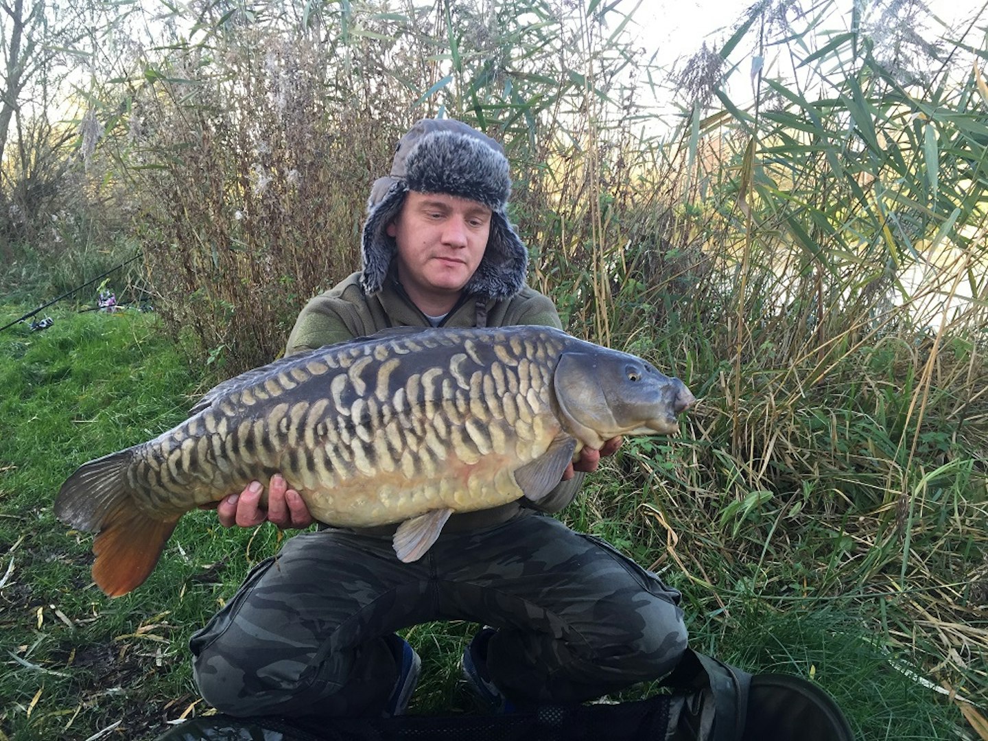 A scaly 20