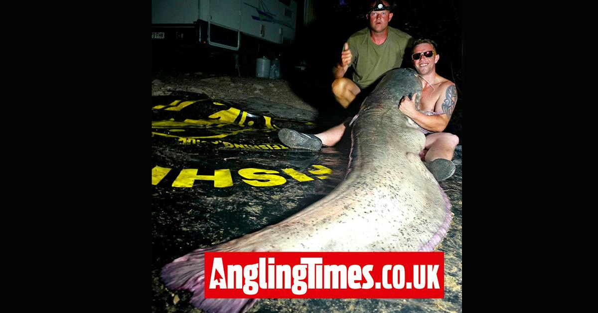 Brit's first cat is a 246lb monster