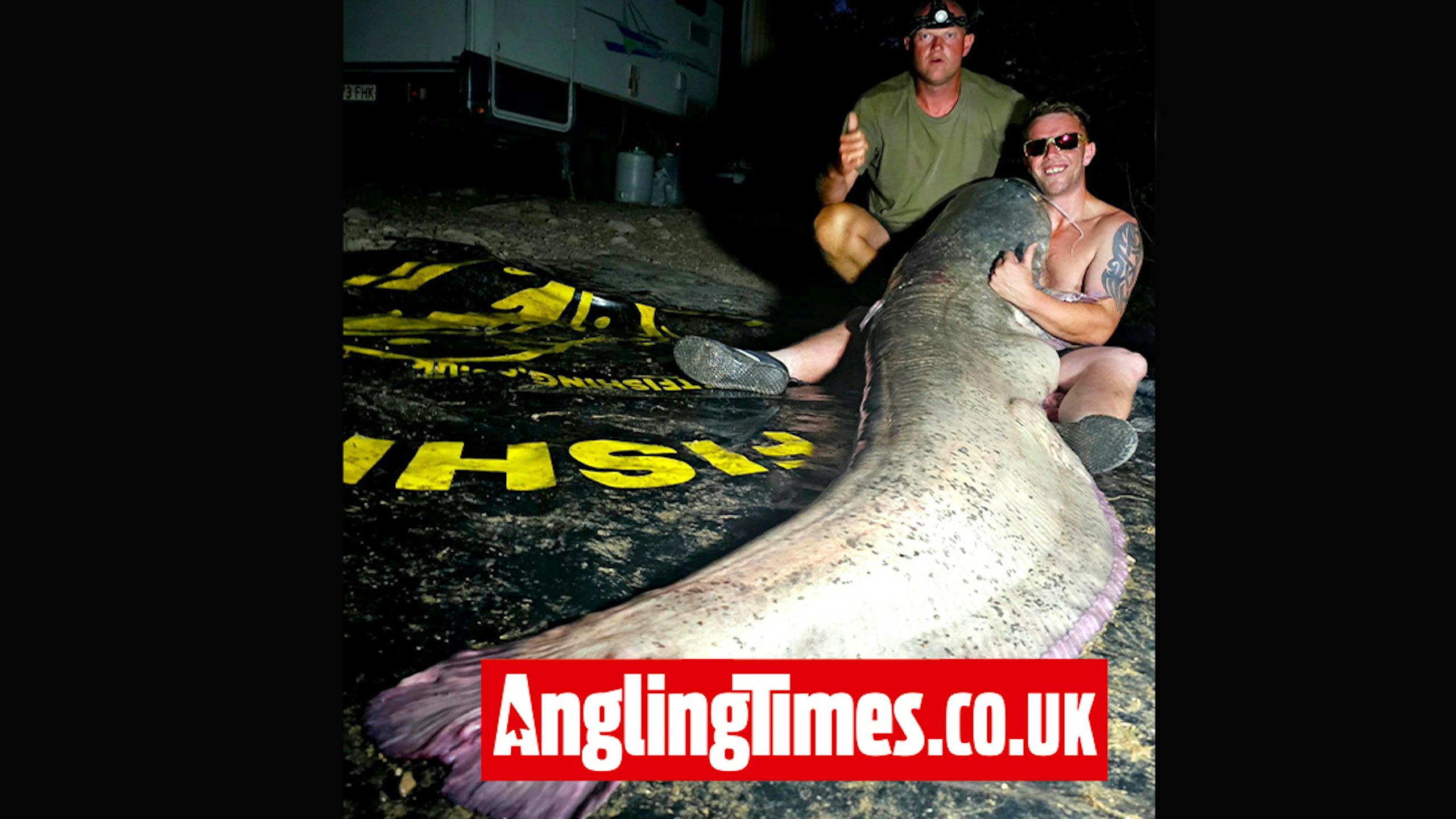 Brit's first cat is a 246lb monster