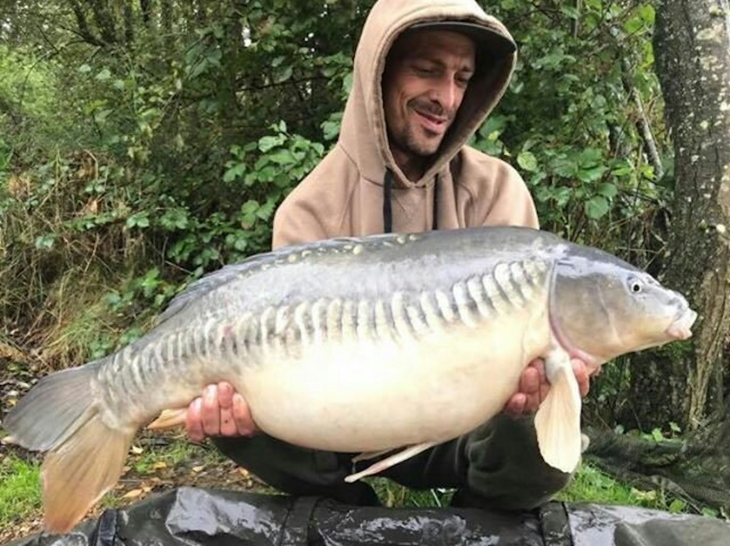 24lb