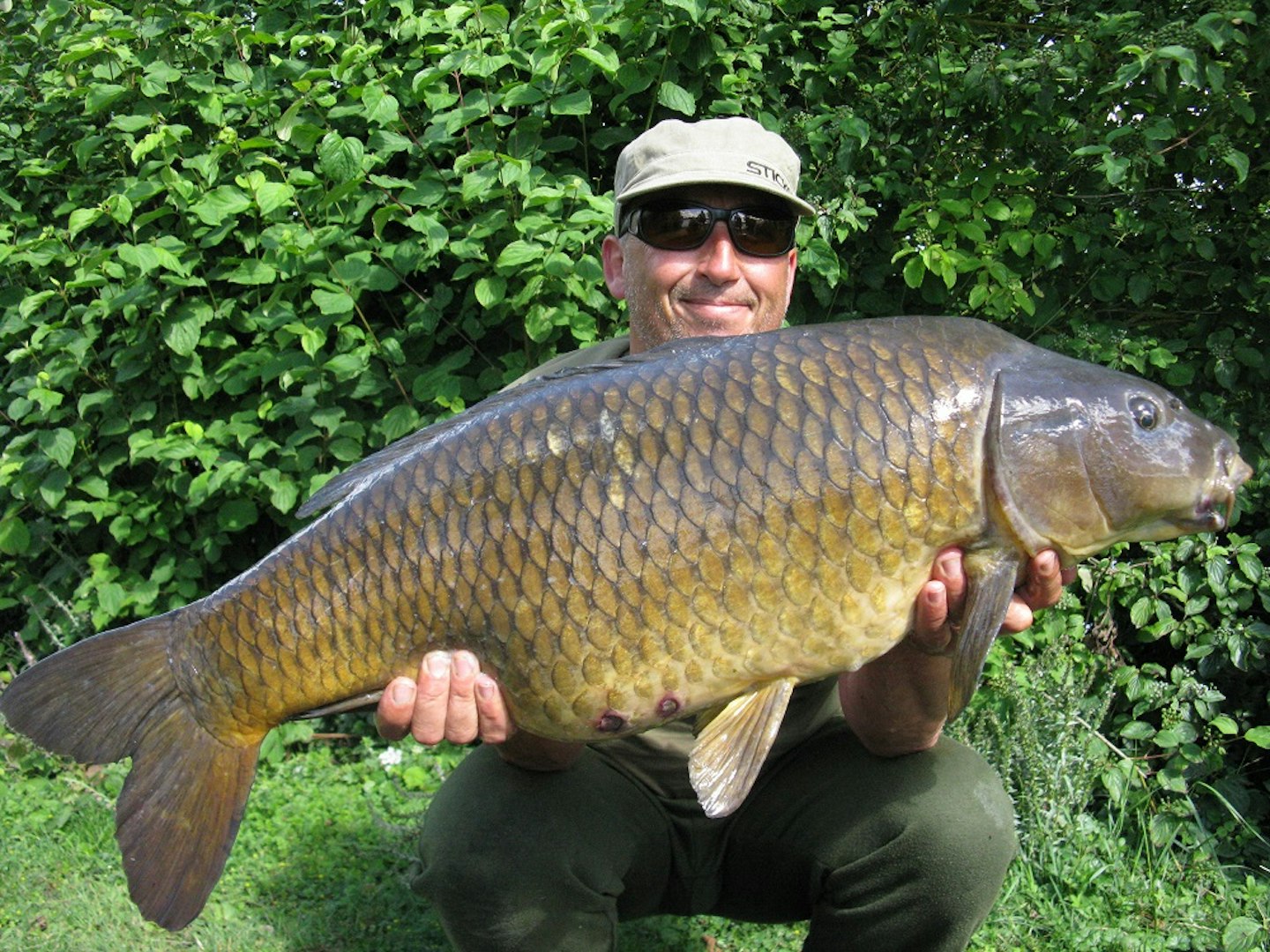 28lb Hardwick Smith's common