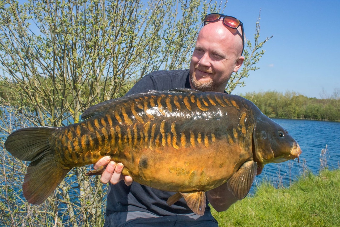 Mat Woods with a Bridge Pool stunner