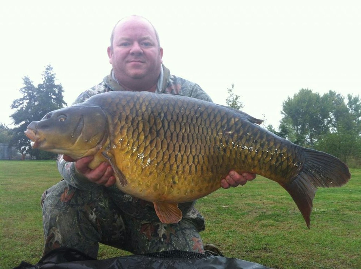 A 34lb Mallard common