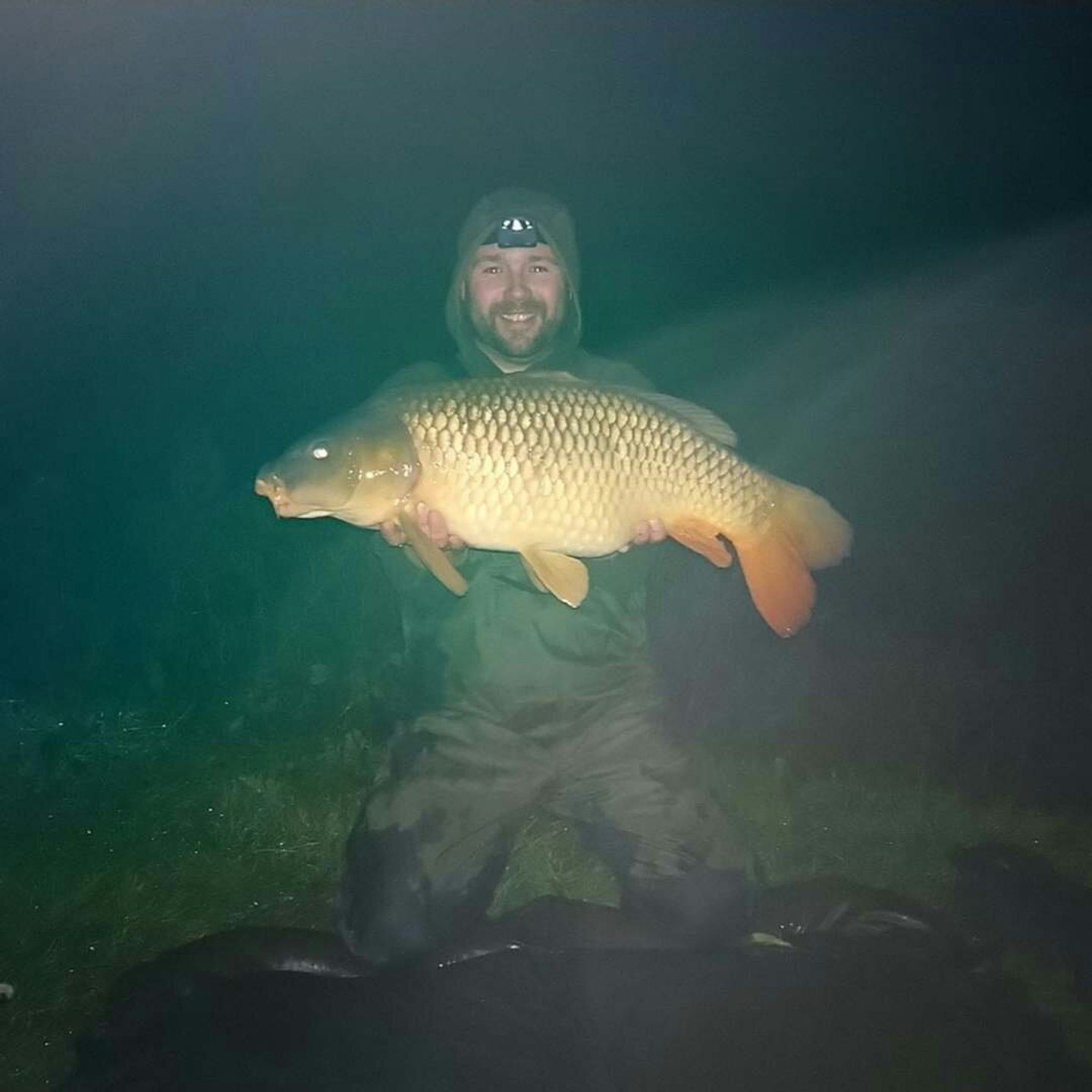 20lb common