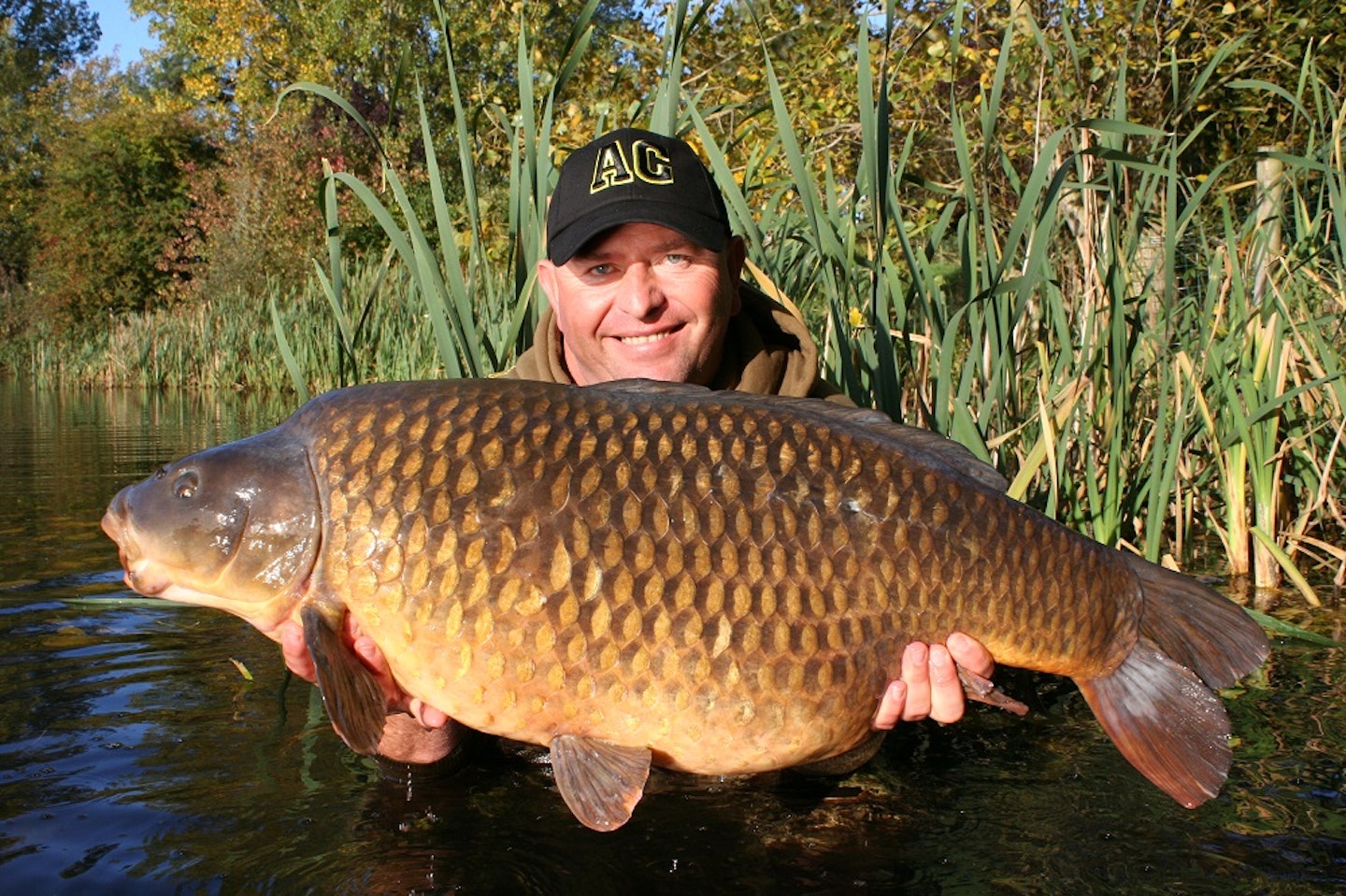 The 40lb+ Box Common