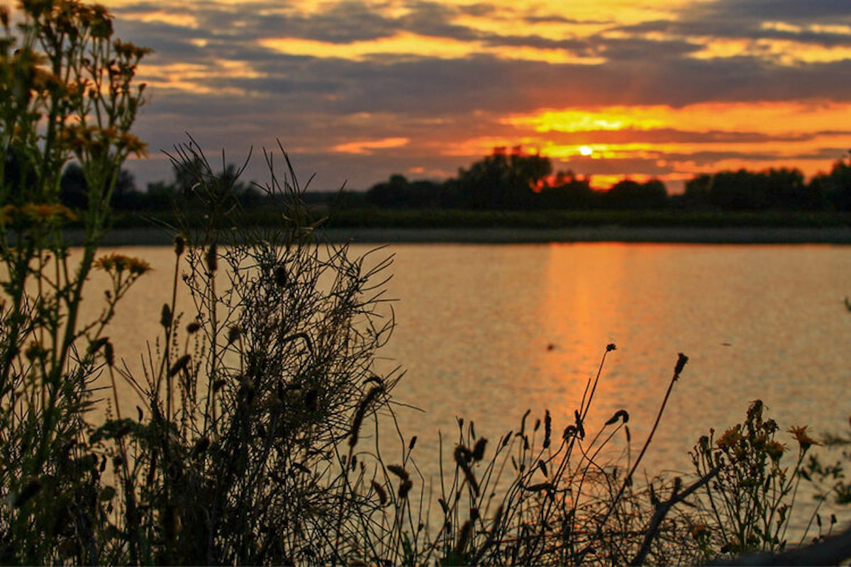 Berners Hall Reservoir map and tactics guide Angling Times