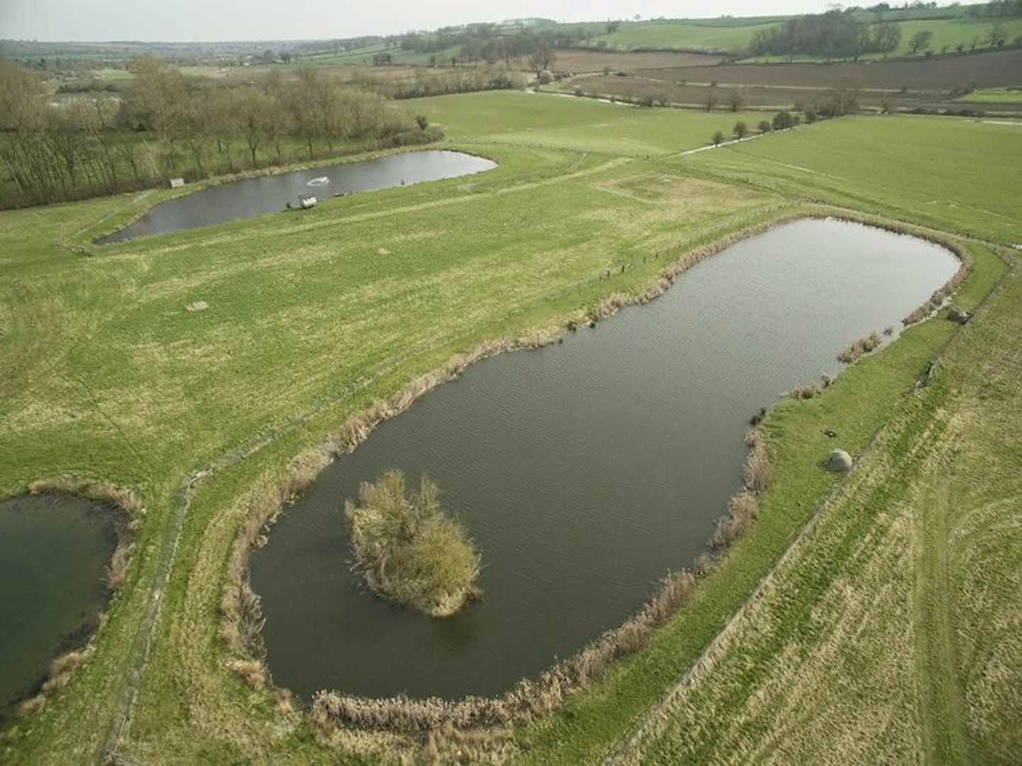 The Long Lake and Specimen Lake