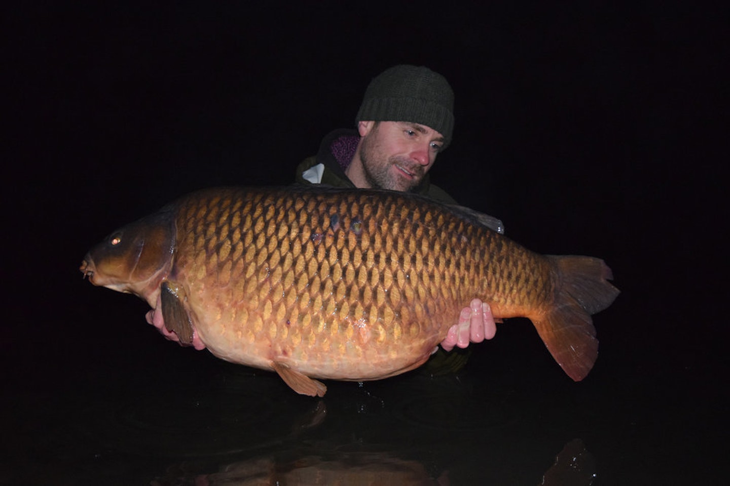 Box Common at 47lb