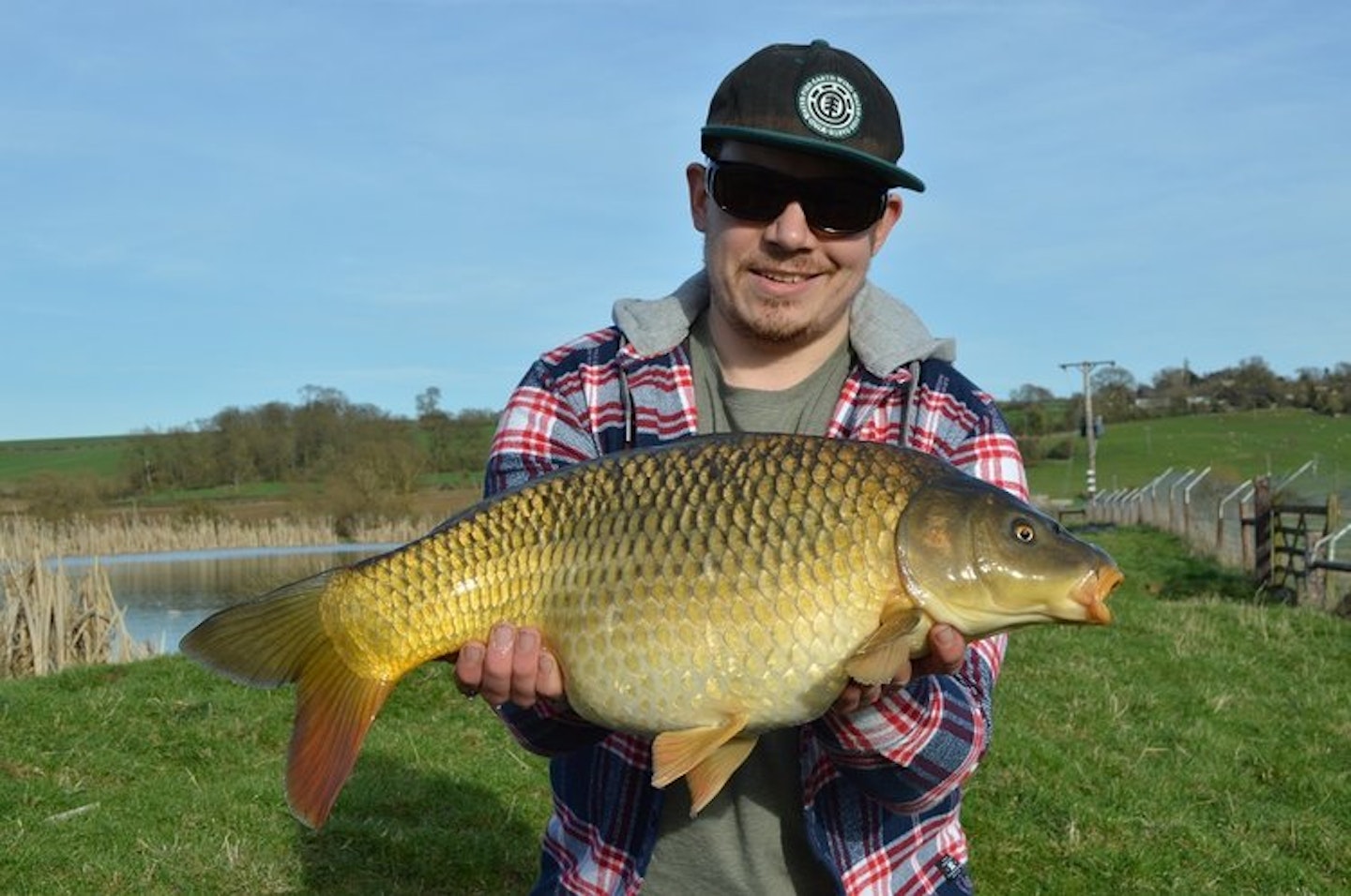 A plump Kilthorpe common