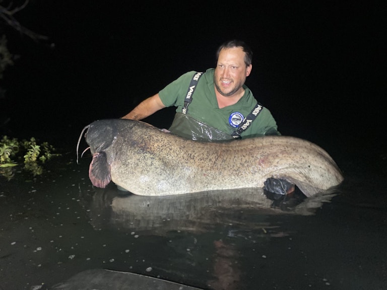 Monster catfish banked at Conservation Group event Angling Times